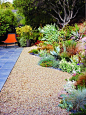 A gorgeous California no-lawn garden -- love that curvy border of succulents and grasses!: 