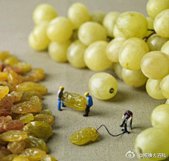Chris_Chen采集到笑话连篇