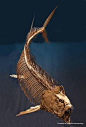 3D giant carnivorous fish known as Xiphactinus - 17 feet long #prehistoriccreatures 3D giant carnivorous fish known as Xiphactinus - 17 feet long