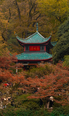 sikiwa采集到PPT配图