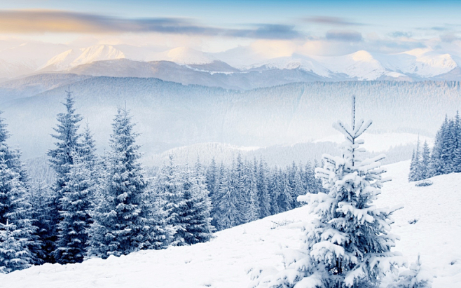 雪山森林