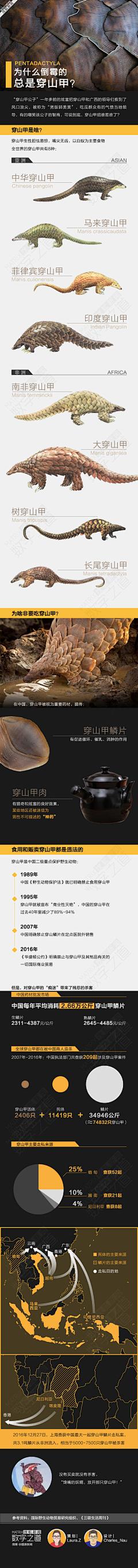 X此昵称已经存在采集到自然的灵魂产物—哺乳纲-鳞甲目