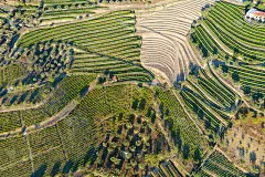 鸟瞰图，梯田葡萄园在浪漫的日落杜罗山谷附近的品豪村。在葡萄牙旅游的概念和葡萄牙最美丽的地方葡萄酒港葡