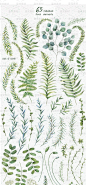 水彩手绘插画尤加利单支植物叶子边框背景图案psd免抠设计素材-淘宝网