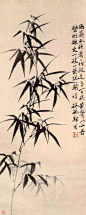 郑板桥
