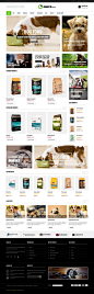 Ogence responsive Magento theme is especially designed for digital, electronics, accessories, #pets, pet food #stores. Elegant design, sleek and clean block layout, handy features and extensions,e makes this #Magento Theme best form the other #eCommerce s