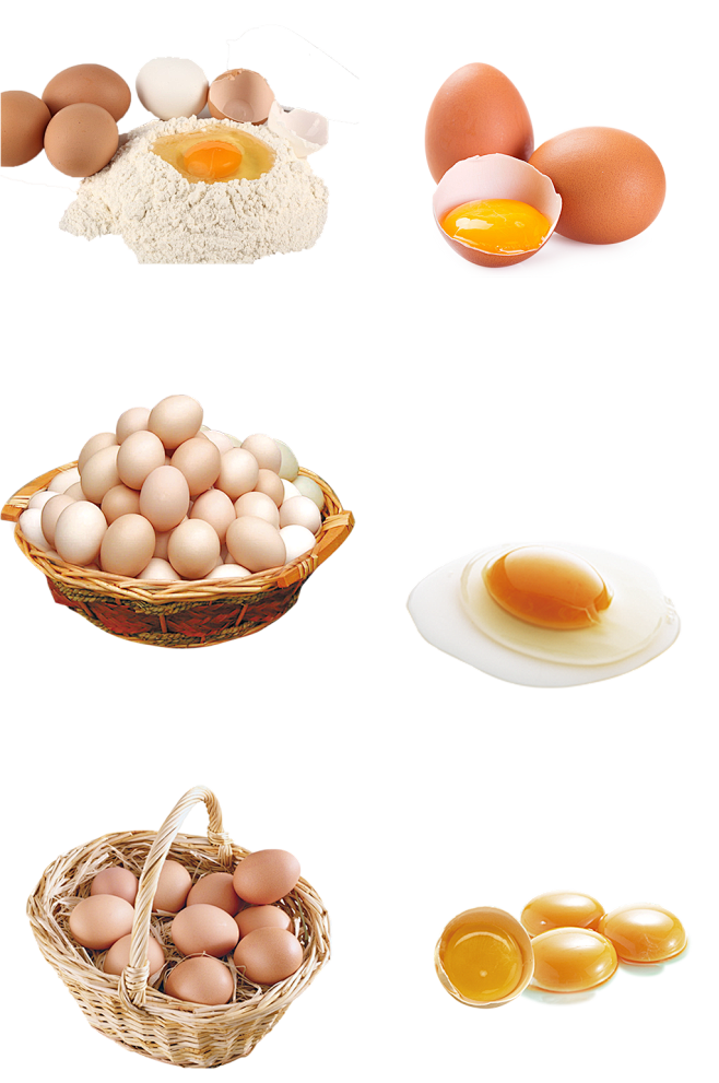鸡蛋png