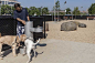 纽约东河国家公园狗跑空间 East River State Park Dog Run by Mathews Nielsen-mooool设计