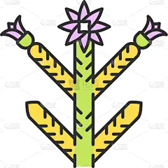 cholla color icon cylindropuntia mexican and