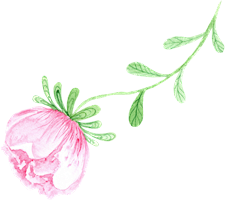 伴我游采集到花草PNG