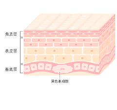 Mdabiuz采集到皮肤