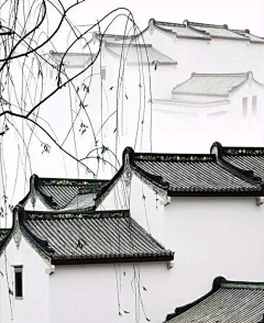 兜兜圈Q采集到风景