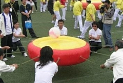 Enyaxiao采集到互动