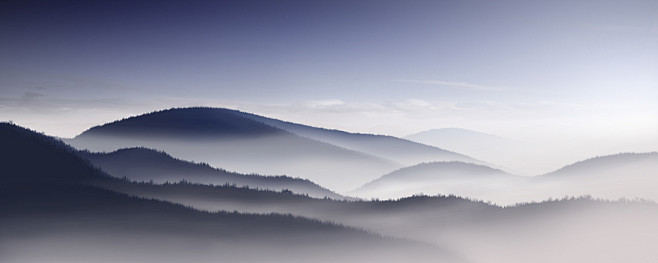 landscapes fog - Wal...