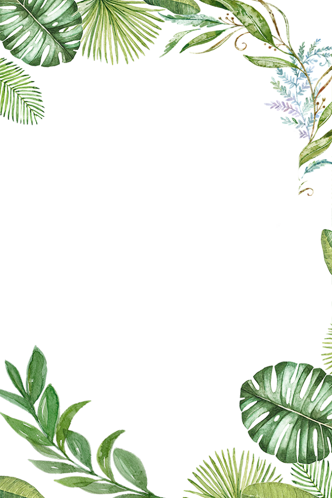 手绘植物 插画 边框 png