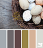 Design Seeds® | find your palette