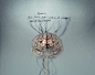 (25) Pinterest