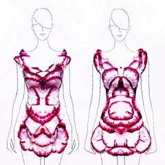 实物与插画的结合————花瓣礼群（1）-可爱图片-Q友乐园