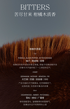hi~lisa采集到海报