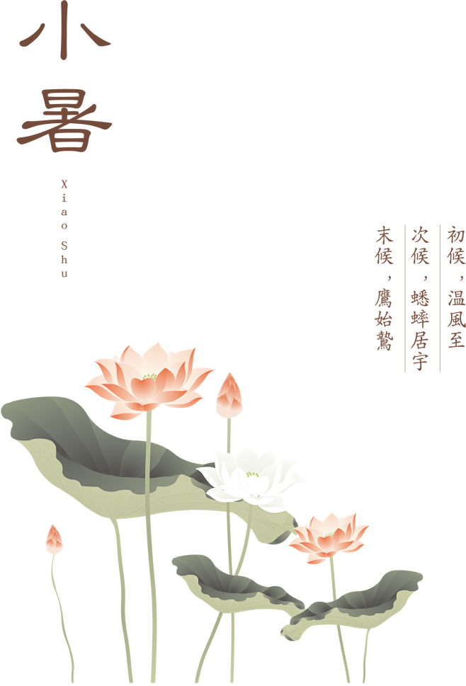 小暑节气 手绘插画 PNG 素材