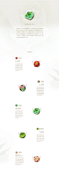 TB theme skin design competition : Based on before painting succulents icon has made some modifications, in the TB Skin theme contest, got a lot of friends praise and love, I hope you can love these succulents icon.For more details, please click this link