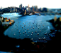 俯览Sydney Harbour