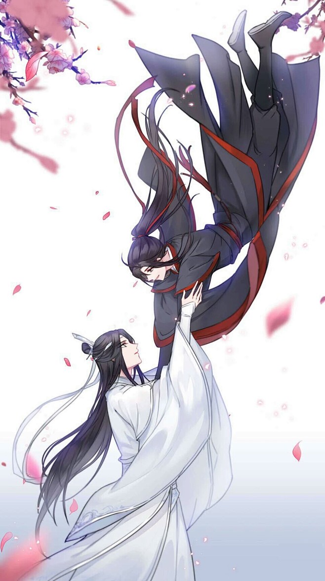 魔道祖师魏无羡蓝忘机