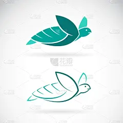 式样,海洋生命,白色背景,海龟,可爱的,野生动物,自然美,动物,品牌名称