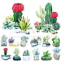 精品手绘油墨水彩绿植仙人掌仙人球盆栽花卉花店海报贺卡矢量素材-淘宝网