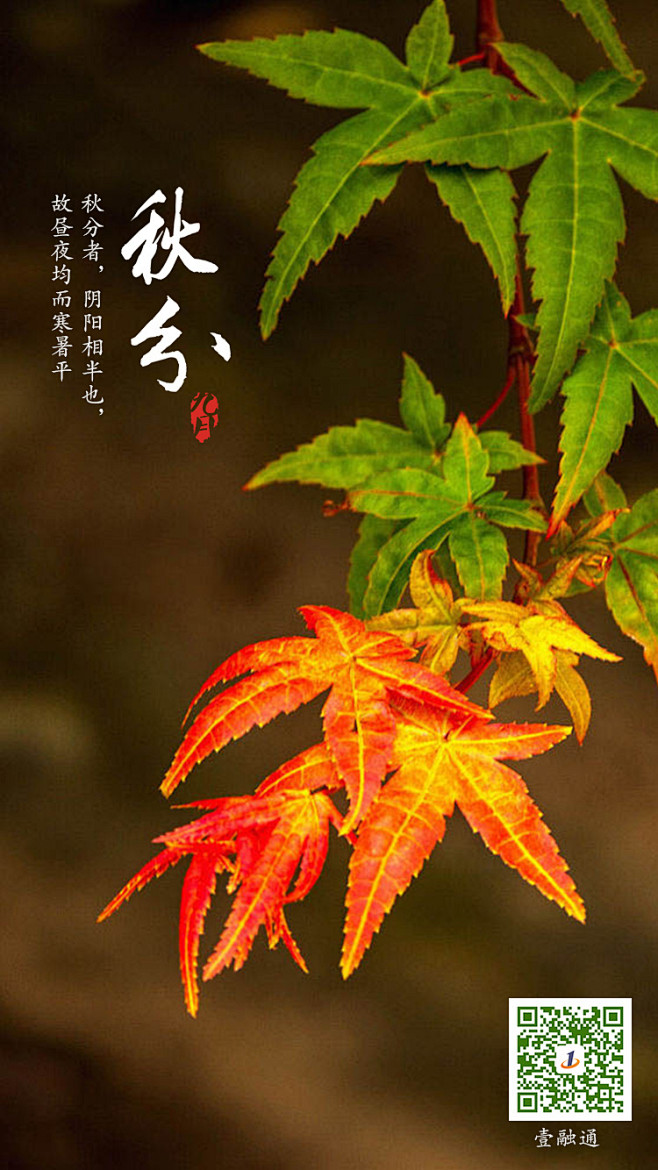 秋分9.22 节气banner