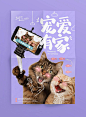 可爱风格萌宠海报版式设计【排版】诗人星火课程学员作品（侵权必究）