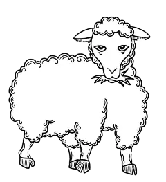 卡通羊 卡通小羊 羊 羊肉 自然 卡通动物 动物 卡通片