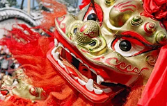 ZYdana采集到鸡