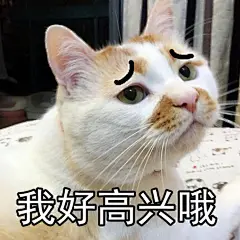 油牌表情包@楼板娘 ​​​​