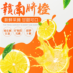 小熊饼干鸭采集到主图