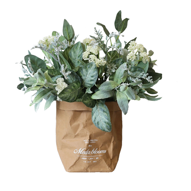 北欧植物花袋-盆栽绿色花瓶植物免抠素材透...