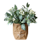 北欧植物花袋-盆栽绿色花瓶植物免抠素材透明png