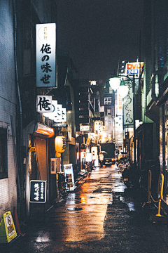 狸花一只春带雨采集到假装四处看风景