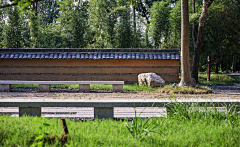 小胖花(赖)采集到坐凳