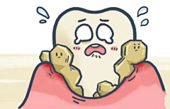 qyfjnl采集到牙素材