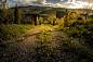 The road to a beautiful day by Malin Aleon on 500px