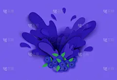 蓝莓,绘画插图,矢量,色彩鲜艳,水滴,柔和,果汁,阴影,溅