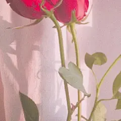 原宿壁纸i的微博_微博