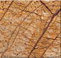 热带雨林大理石贴图——万隆石材 - 设计宝贝