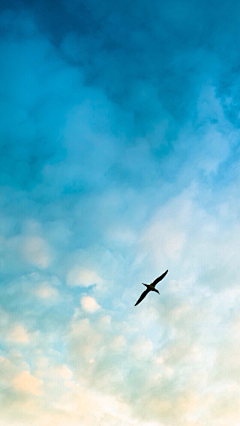 山僧隐梵宫采集到天。空