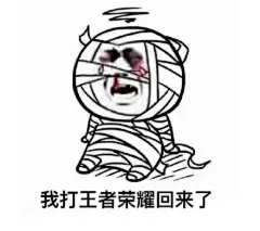 王者荣耀2 表情包