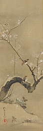 December - Sakai Hōitsu (1761-1828) - Birds and Flowers of the Twelve Months: 