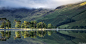 Buttermere Pines by Phil Buckle on 500px