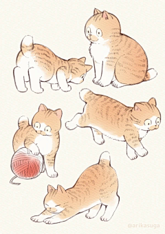桔茄子采集到猫星人