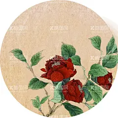 牡丹花  - 源文件下载【酷图网】牡丹花,花,牡丹,壁纸,古色壁纸,圆盘花,